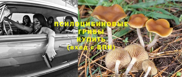 прущие крисы Алексин