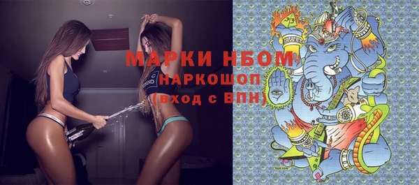 прущие грибы Алексеевка